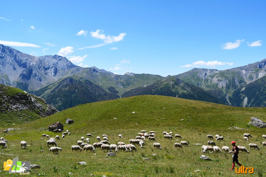 Classements: Point de situation après l’Ubaye Trail Salomon