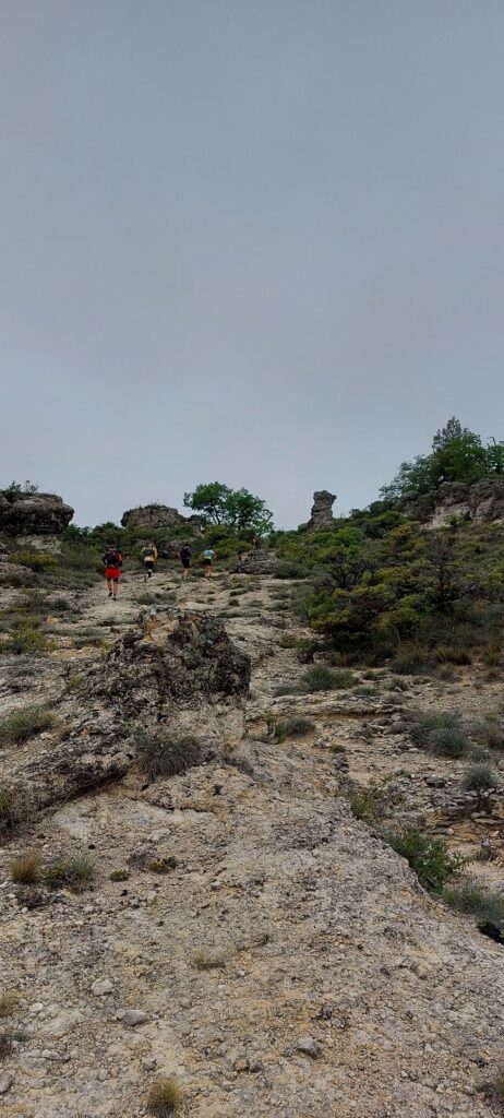 Trail de Haute Provence