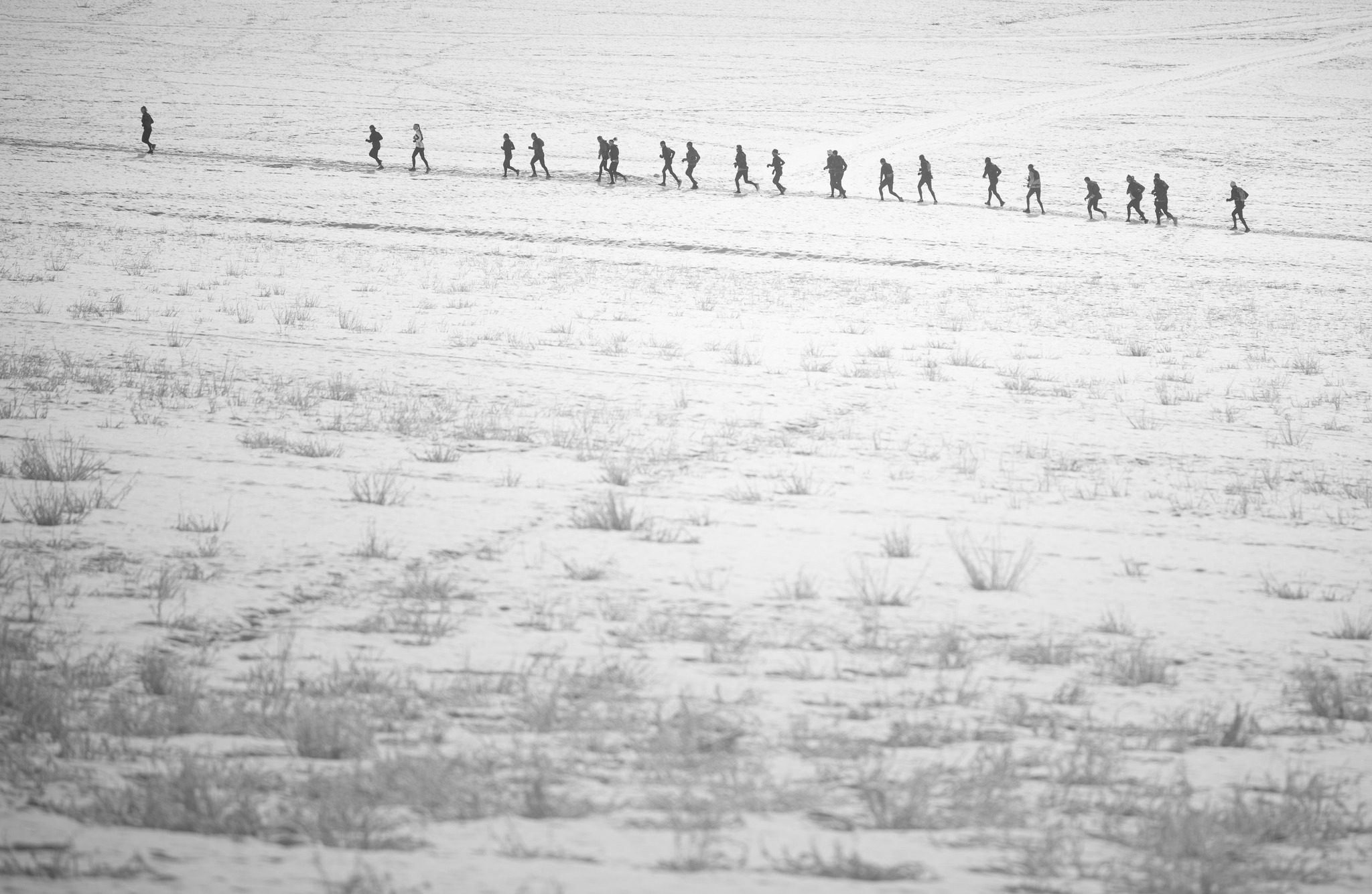 Snow Trail du Queyras : deuxième étape du Challenge dans la poudreuse ensoleillée