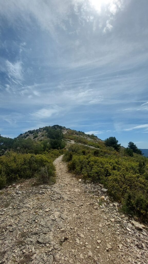 TRAIL DE MIMET DU 5 MAI 2024 – LE COMPTE RENDU