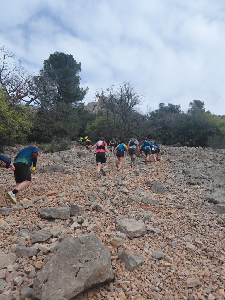 Trail de Cuers 2026 : Organisation maitrisée, les champions ont trouvé la voie …